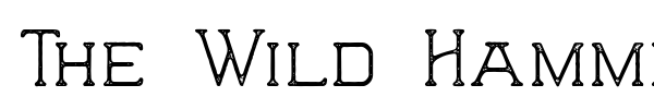 The Wild Hammers font preview